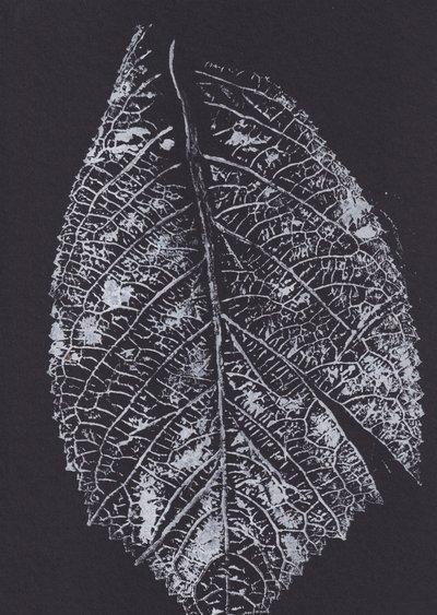 Motif de feuilles monochrome - Maira Ribena