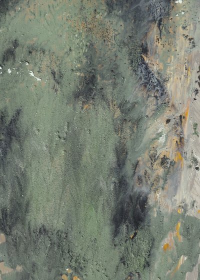 Flux abstrait vert discret - Maira Ribena