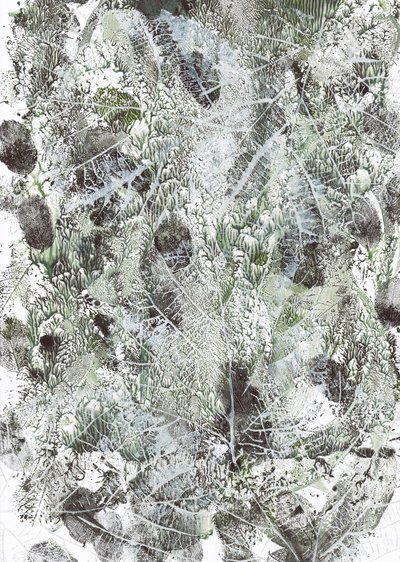 Empreintes de feuilles biologiques - Maira Ribena