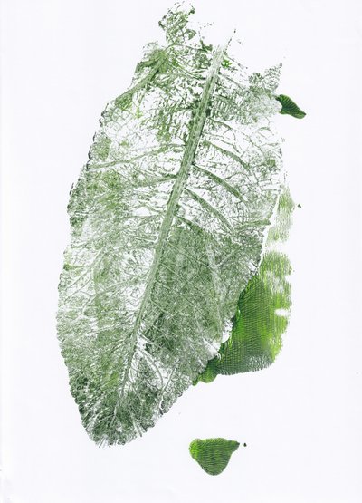 Imprimé feuilles organique - Maira Ribena