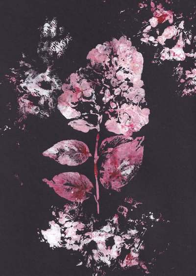Impression botanique rose - Maira Ribena