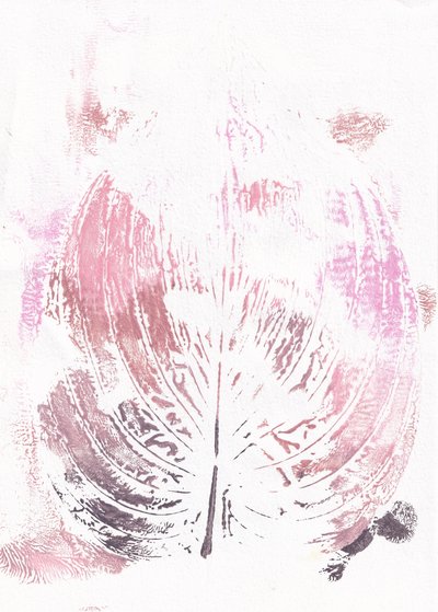 Feuille botanique rose - Maira Ribena