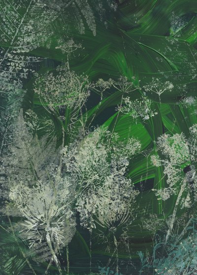 Fleurs d