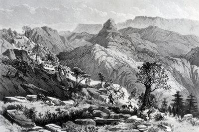 En marche près de Dongolo, gravé par James Ferguson, 1868 - Major A.G.F. Hogg