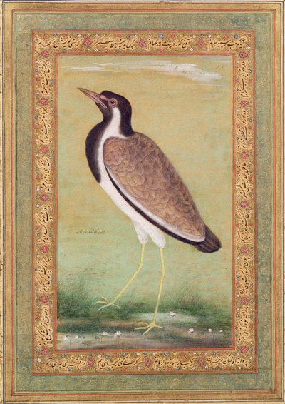 Vanneau indien, vers 1800 - Mansur