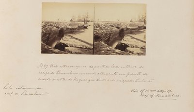 Vue stéréoscopique de l