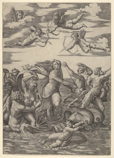 Galatée debout dans un char tiré par deux dauphins, entourée de tritons et de néréides - Marcantonio Raimondi