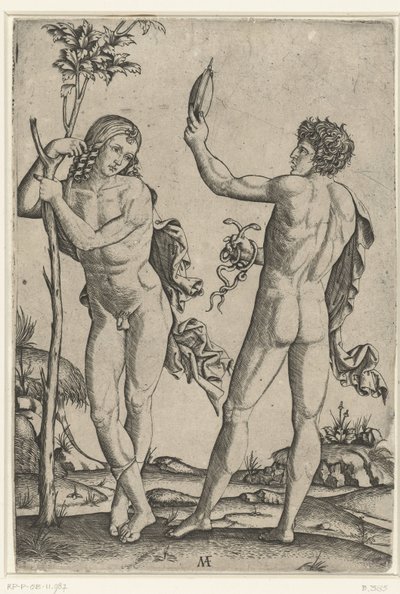 Homme nu appuyé contre un arbre et homme nu avec un miroir et deux serpents - Marcantonio Raimondi