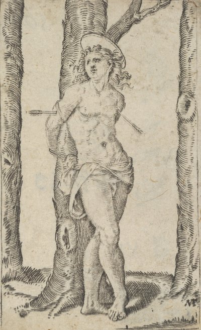 Saint Sébastien attaché à un arbre percé de flèches, de la série 