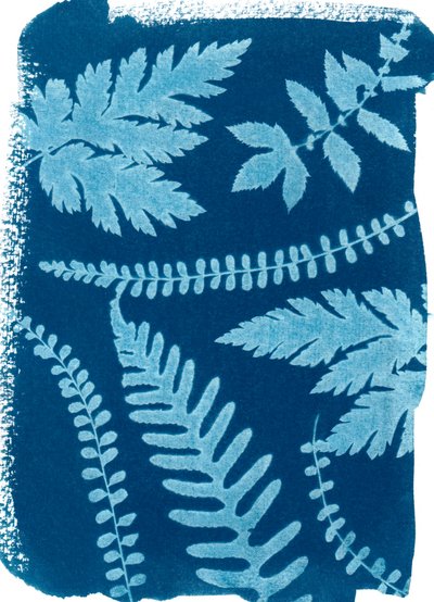 Montagne_147, 2023 (cyanotype) - Marco Campedelli