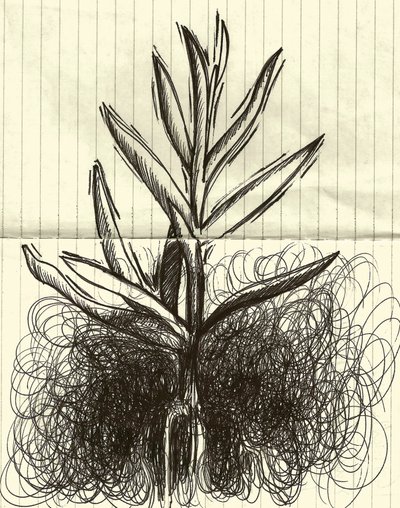 Plante, 2014 (encre sur papier) - Marco Campedelli