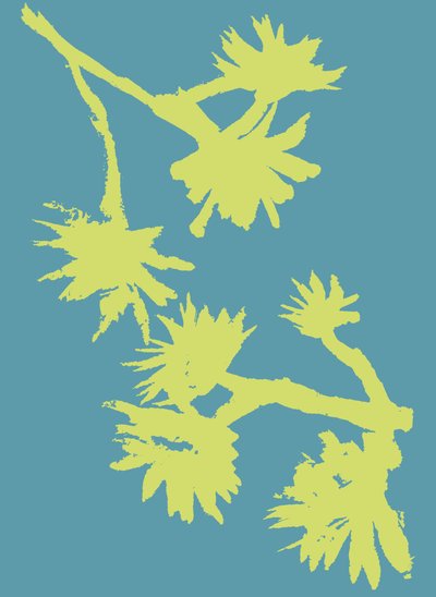Succulent_2, 2022 (encre sur papier) - Marco Campedelli