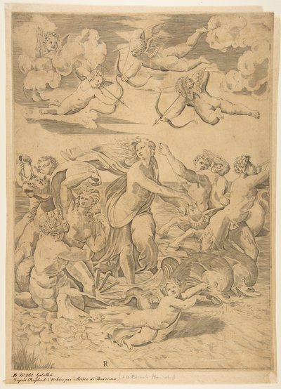 Galatée chevauchant une coquille tirée à travers l