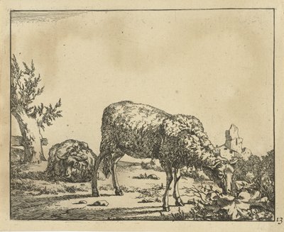 Mouton broutant et mouton couché près d