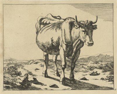 Vache debout, vue de face - Marcus de Bye