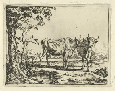 Deux vaches se léchant (Bovins et porcs) - Marcus de Bye