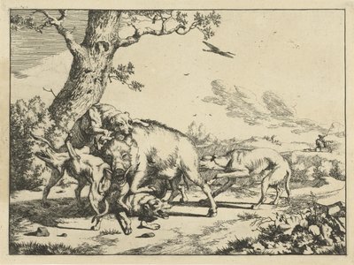 Sanglier attaqué par quatre chiens de chasse - Marcus de Bye