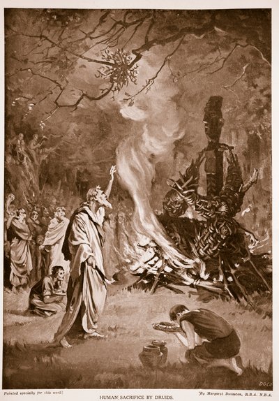 Sacrifice humain par les druides, illustration tirée de "Hutchison