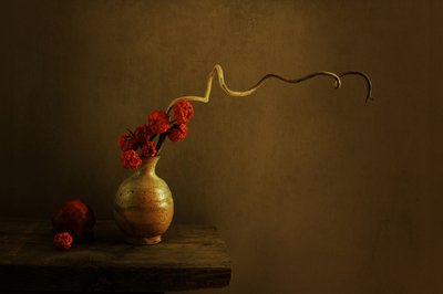  - Margaret Halaby