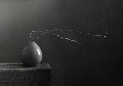 Poire et branche en noir et blanc - Margaret Halaby