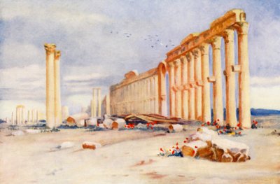Colonnade, Palmyre, avec château turc au loin - Margaret Thomas