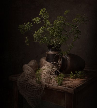 Nature morte botanique sombre - Margareth Perfoncio