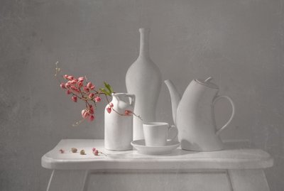 Nature morte rose délicate - Margareth Perfoncio