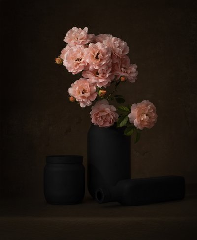 Roses roses tendres - Margareth Perfoncio