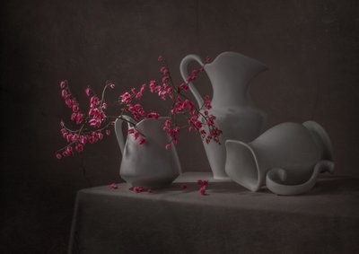 Fleurs roses et cruches blanches - Margareth Perfoncio