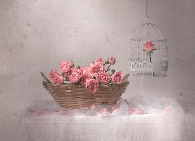Roses roses et cage à oiseaux - Margareth Perfoncio