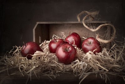Pommes Rustic Harvest - Margareth Perfoncio