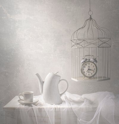 Le temps passé en cage - Margareth Perfoncio
