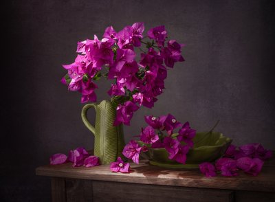 Nature morte aux bougainvilliers aux couleurs vives - Margareth Perfoncio