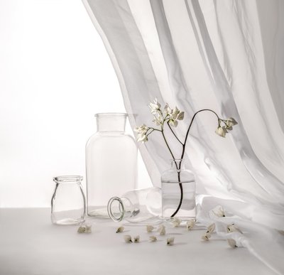 Nature morte florale blanche - Margareth Perfoncio