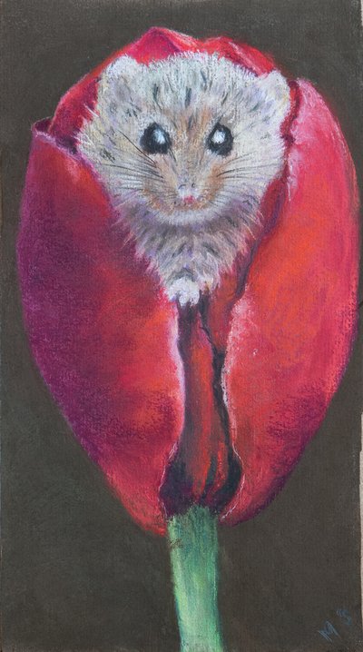 Souris dans une tulipe, 2022 - Margo Starkey