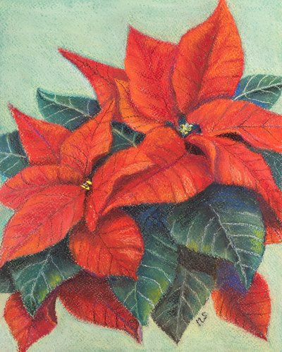 Poinsettias, 2022 - Margo Starkey