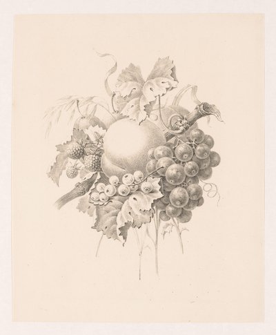 Composition de fruits - Maria Geertruida de Goeje Barbiers (attributed to)
