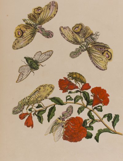 Illustration de 