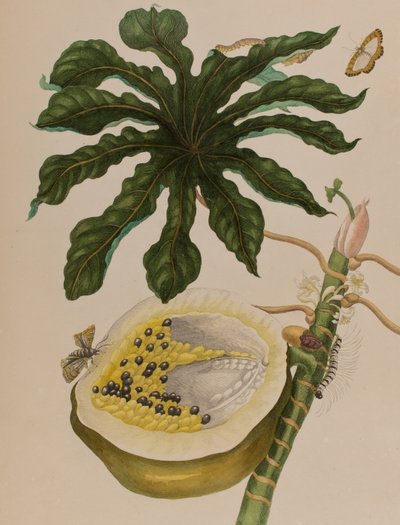 Illustration de 
