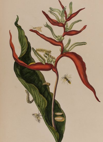 Illustration de 