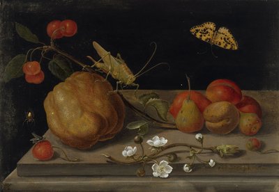 Nature morte avec fruits, une sauterelle et un papillon (entre 1670 et 1680) - Maria Sibylla Merian