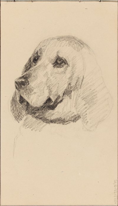 Tête de chien - Maria Wiik