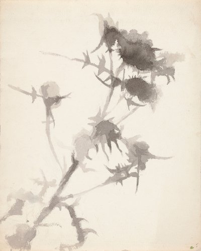  - Maria Wiik