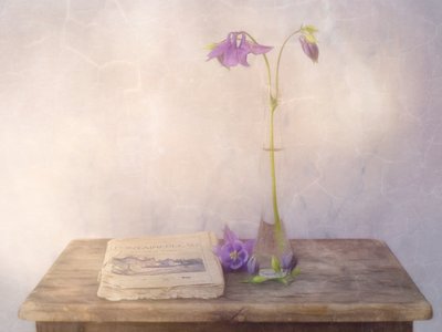  - Marie-anne Stas