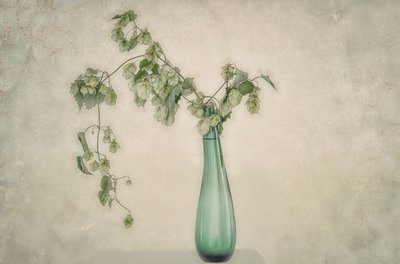 Nature morte aux houblons verts - Marie-anne Stas