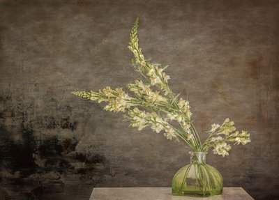 Nature morte florale rustique - Marie-anne Stas