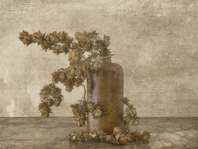 Nature morte rustique au houblon - Marie-anne Stas
