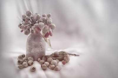  - Marie-anne Stas
