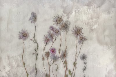 Fleurs aux tons pastel délicats - Marie-anne Stas