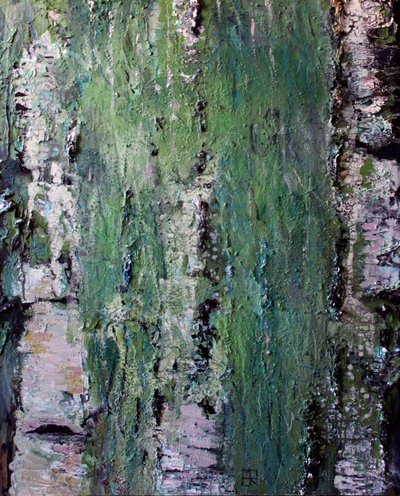 Écorce de bouleau moussue verte - Marina Nelson